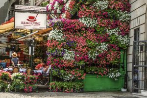 And so the adventure begins